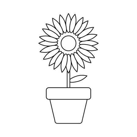 sunflower in pot plant isolated icon vector illustration designのイラスト素材