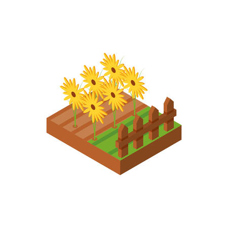 set of sunflower on white background vector illustration designのイラスト素材