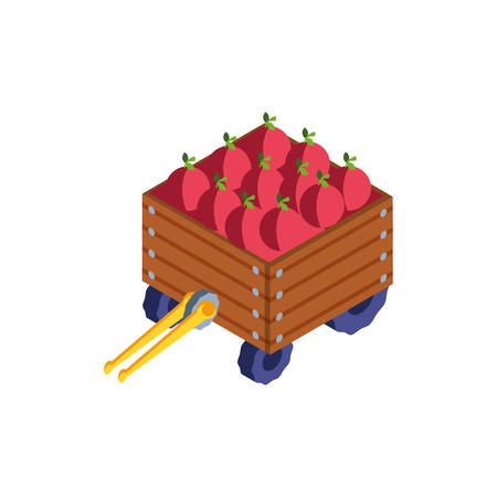 box wooden with vegetables on white background vector illustration designのイラスト素材