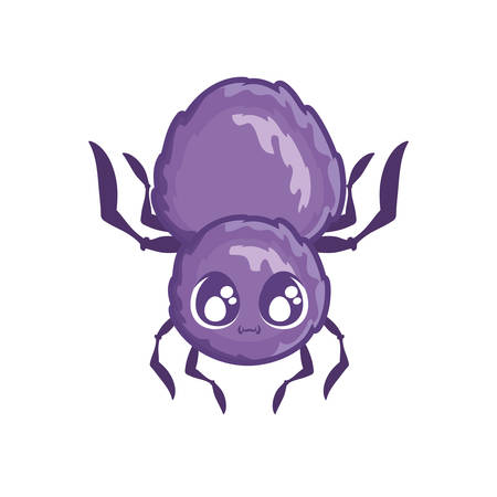 creepy spider animal on white background vector illustration designのイラスト素材