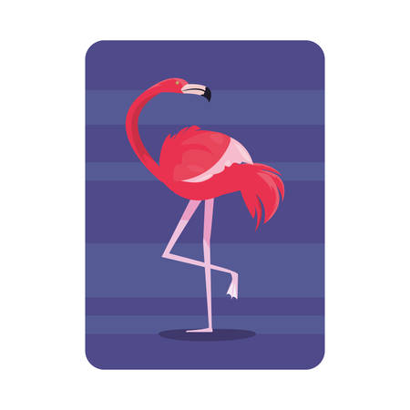 summer time holiday flamingo badge tropical leaves vector illustrationのイラスト素材