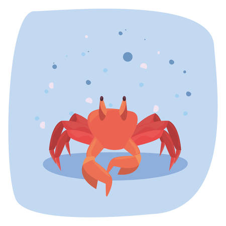 crab marine wildlife cartoon animal vector illustrationのイラスト素材