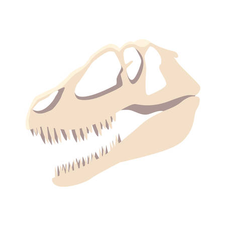 dinosaur skull on white background vector illustration designのイラスト素材