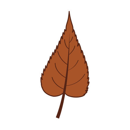 Autumn leaf design, season nature ornament garden decoration and botany theme Vector illustrationのイラスト素材