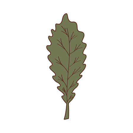 Autumn leaf design, season nature ornament garden decoration and botany theme Vector illustrationのイラスト素材