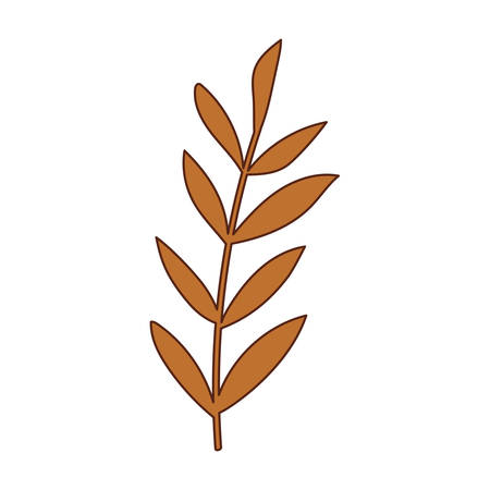 Autumn leaf design, season nature ornament garden decoration and botany theme Vector illustrationのイラスト素材