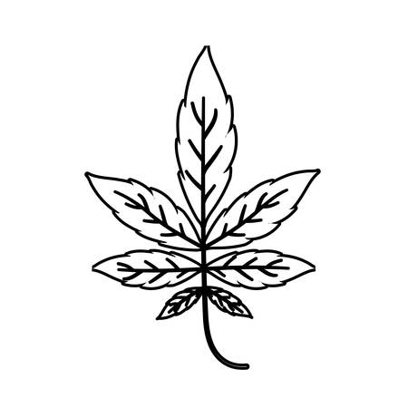 Maple autumn leaf design, season nature ornament garden decoration and botany theme Vector illustrationのイラスト素材