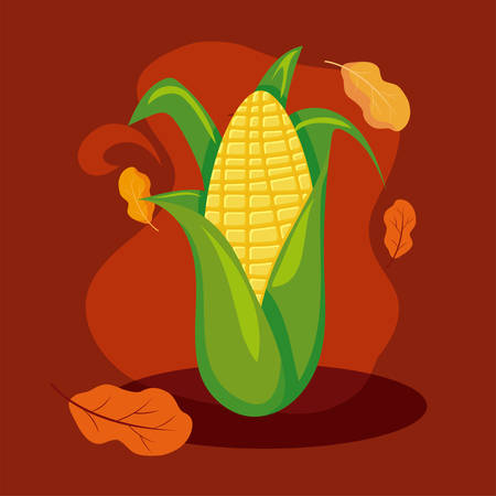 Corn design, Autumn season nature ornament garden decoration and thanksgiving day theme illustrationのイラスト素材