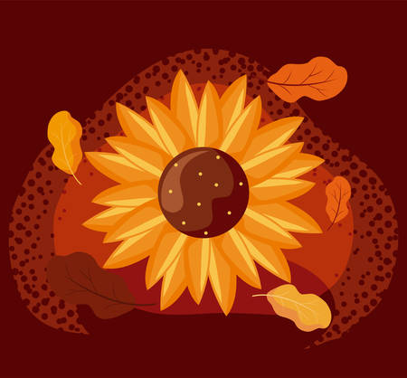Sunflower design, Autumn season nature ornament garden decoration and thanksgiving day theme Vector illustrationのイラスト素材