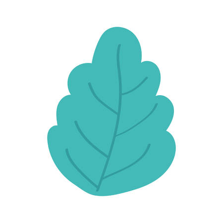 Isolated natural leaf design of Floral nature plant garden ornament botany decoration and life theme Vector illustrationのイラスト素材