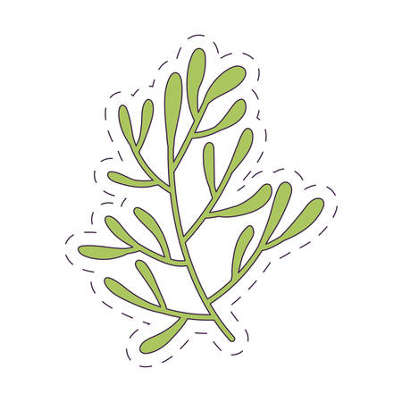 Isolated natural leaf design of Floral nature plant garden ornament botany decoration and life theme Vector illustrationのイラスト素材