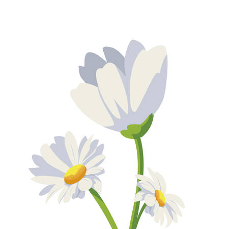 beautiful flowers icon over white background, vector illustrationのイラスト素材