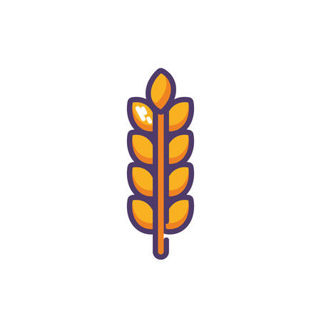 wheat leaves in white background vector illustration designのイラスト素材