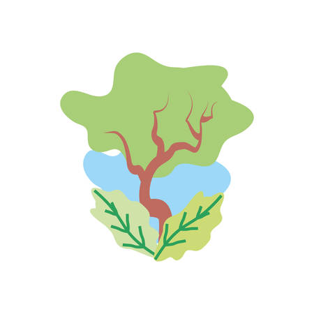 tree plant nature with leafs vector illustration designのイラスト素材