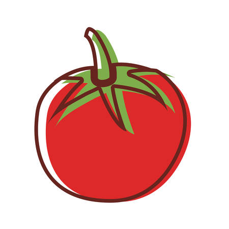 tomato fresh vegetables diet vector illustration designのイラスト素材