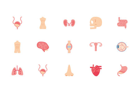 icon set design, Human body person people health anatomy biology and science theme Vector illustrationのイラスト素材