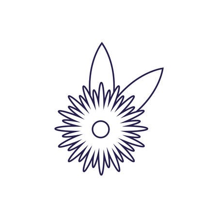 Flower design, floral nature plant ornament garden decoration and botany theme Vector illustrationのイラスト素材