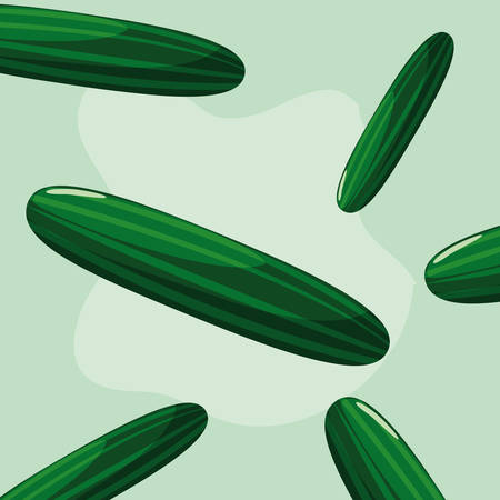 pattern of cucumber fresh vegetables vector illustration designのイラスト素材