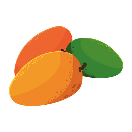 mangos design, Fruit healthy organic food sweet and nature theme Vector illustrationのイラスト素材