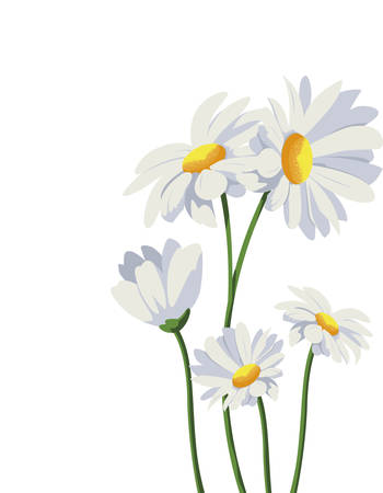 beautiful flowers icon over white background, vector illustrationのイラスト素材