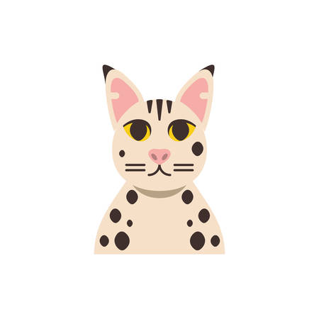 Cute white with black points cat cartoon design, Animal pet kitten domestic feline kitty mammal beautiful and portrait theme Vector illustrationのイラスト素材