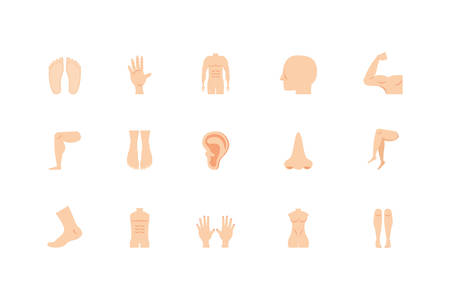 icon set design, Human body person people health anatomy biology and science theme Vector illustrationのイラスト素材