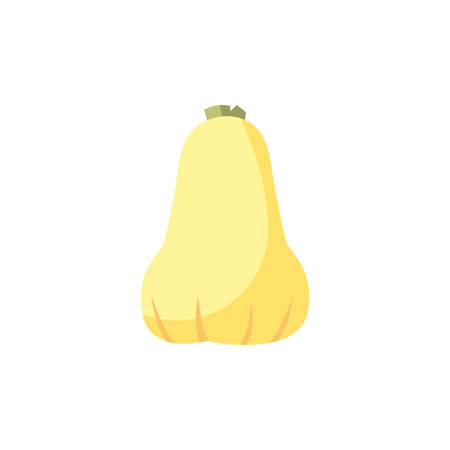 pumpkin design, Vegetable organic food healthy fresh natural and market theme Vector illustrationのイラスト素材