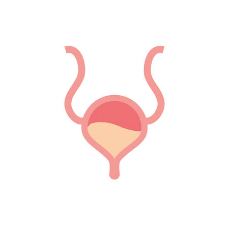 bladder icon design, Human body person people health anatomy biology and science theme Vector illustrationのイラスト素材