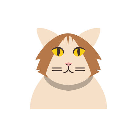 Cute white and brown cat cartoon design, Animal pet kitten domestic feline kitty mammal beautiful and portrait theme Vector illustrationのイラスト素材