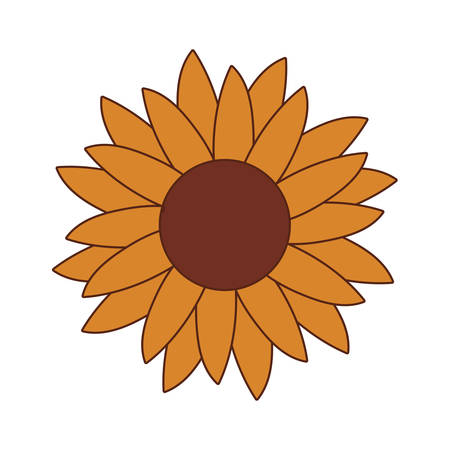 Sunflower design, floral nature plant ornament garden decoration and botany theme Vector illustrationのイラスト素材