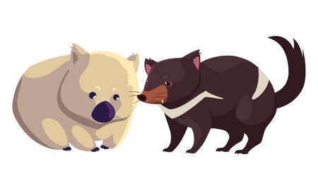 wombat and tasmanian devil on white background vector illustration designのイラスト素材