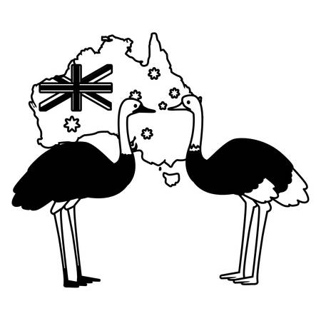 emu and ostrich with map of australia in the background vector illustration designのイラスト素材