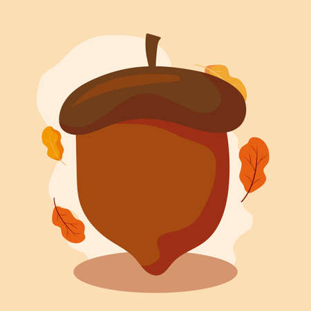 Acorn design, Autumn season nature ornament garden decoration and thanksgiving day theme Vector illustrationのイラスト素材