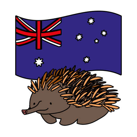 echidna with australian flag in the background vector illustration designのイラスト素材