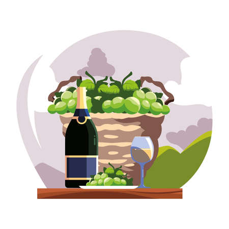 bottle and glass of wine with grapes vector illustration designのイラスト素材