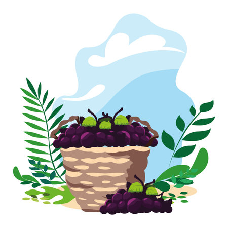 grapes with branch in wicker basket with background landscape vector illustration designのイラスト素材