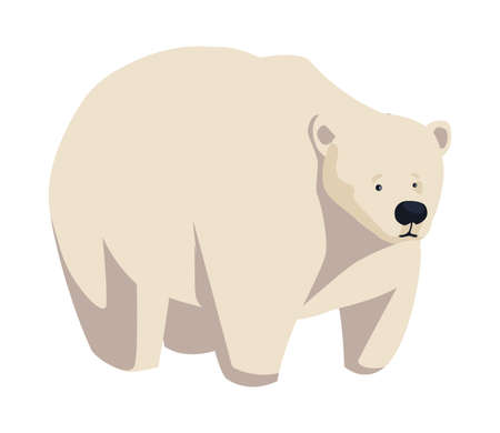 big white polar bear on white background vector illustration designのイラスト素材