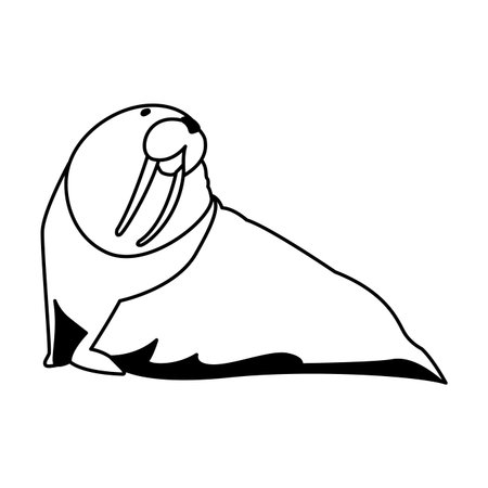 walrus sea animal on a white background vector illustration designのイラスト素材