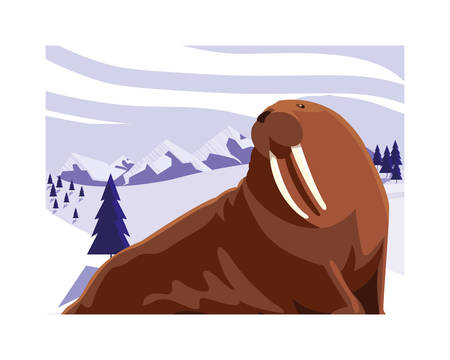 walrus at the north pole, arctic landscape vector illustration designのイラスト素材
