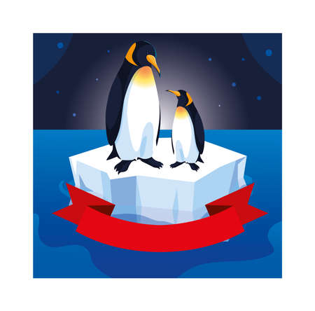 penguin couple on an ice floe drifting vector illustration designのイラスト素材