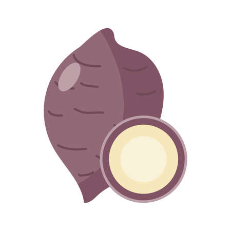 sweet potato vegetable icon over white background, flat detail style, vector illustrationのイラスト素材