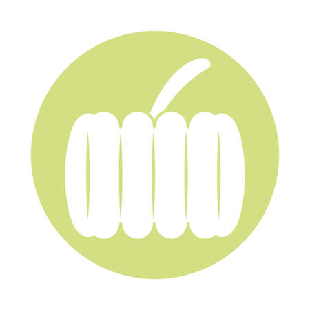 pumpkin vegetable icon over white background, block style, vector illustrationのイラスト素材