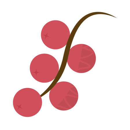 fresh and delicious grape on white background vector illustration designのイラスト素材