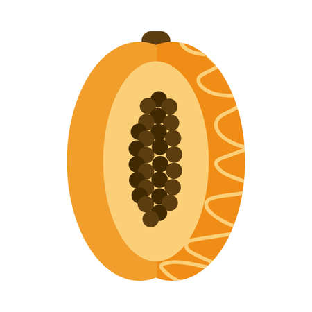 fresh and delicious pawpaw on white background vector illustration designのイラスト素材