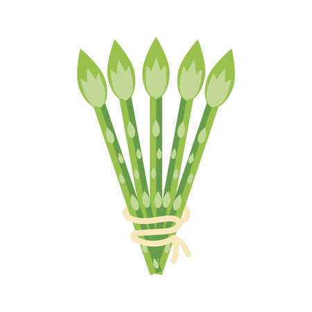 asparagus vegetable icon over white background, flat detail style, vector illustrationのイラスト素材