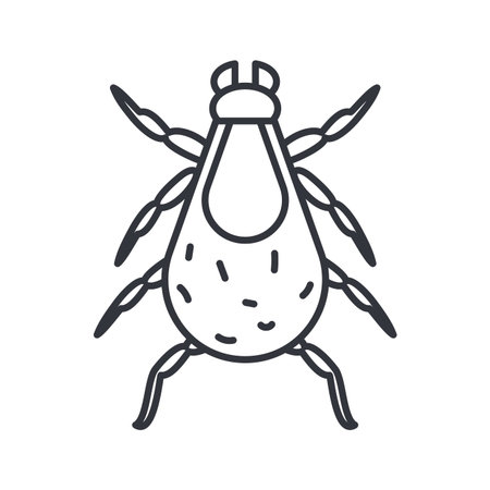 louse insect over white background, line detail style icon, vector illustration