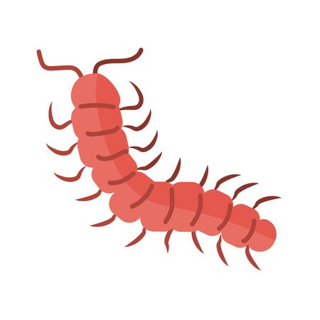 centipede insect over white background, flat style icon, vector illustration