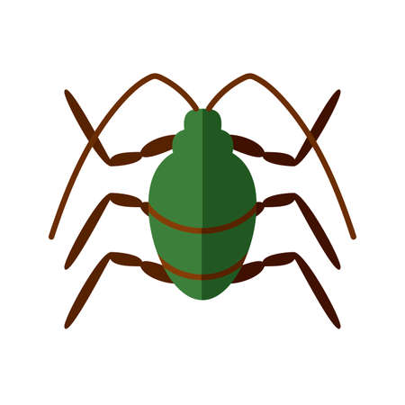 stink beetle insect icon over white background, flat style, vector illustrationのイラスト素材