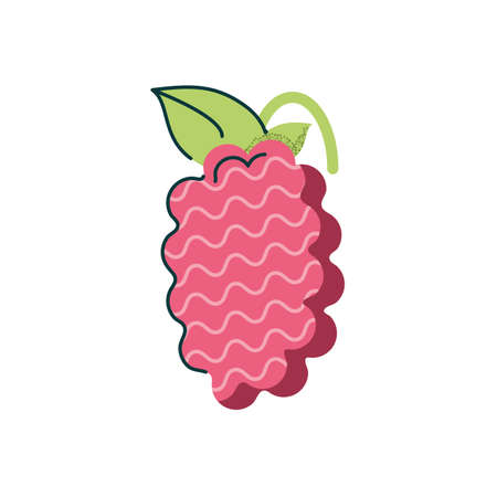 bunch of grapes icon over white background, flat and colorful design, vector illustrationのイラスト素材