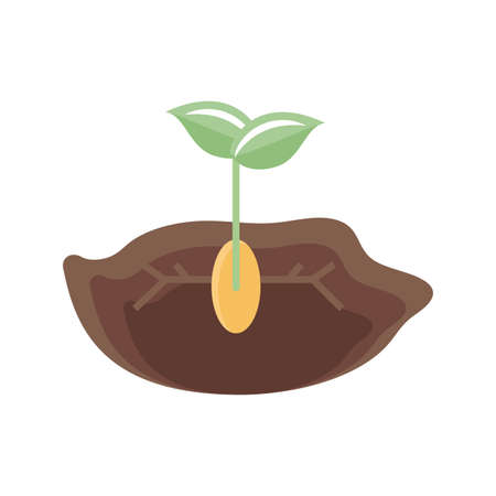 plant seed growing in the ground icon over white background, flat detail style, vector illustrationのイラスト素材